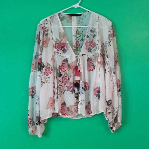 Zara Woman Sheer Embroidered Top - Picture 1 of 10